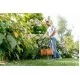 Trimmer de gazon BOSCH UniversalGrassCut18