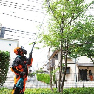 Fierastrau emondor telescopic  DUA301Z LXT 18V, 30 cm, fara acumulatori