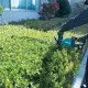 Foarfeca pentru tuns gard viu cu acumulatori Makita DUH602Z - SOLO